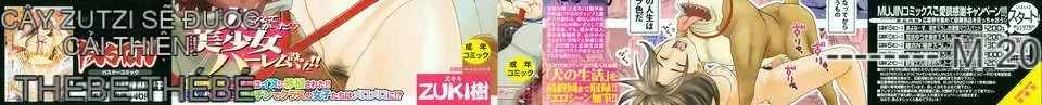 [Zuki Itsuki] Lối sống phổ biến cho chó