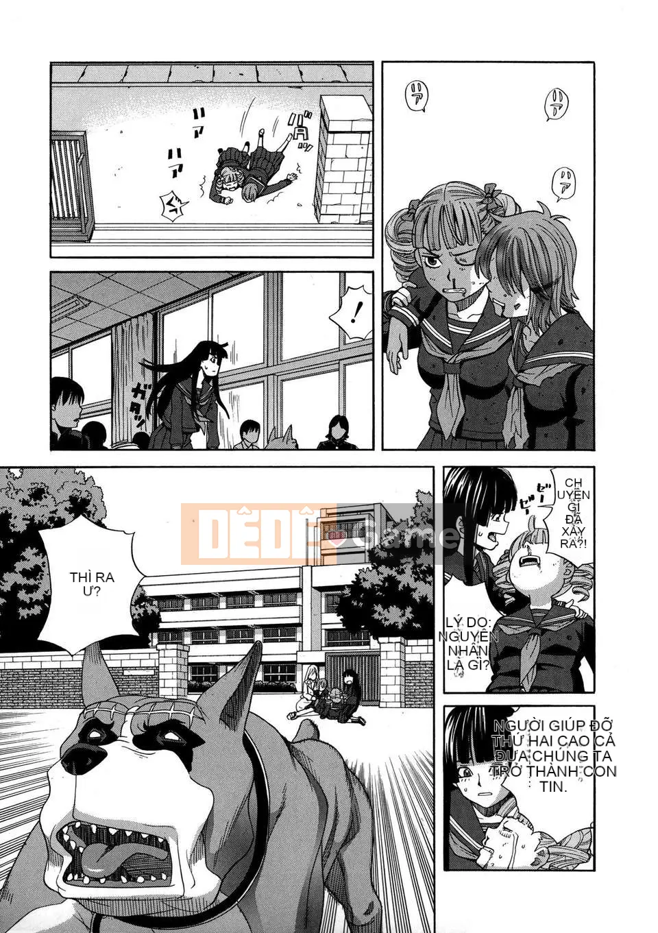 [Zuki Itsuki] Lối sống phổ biến cho chó