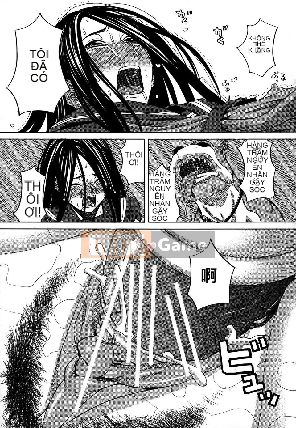 [Zuki Itsuki] Lối sống phổ biến cho chó