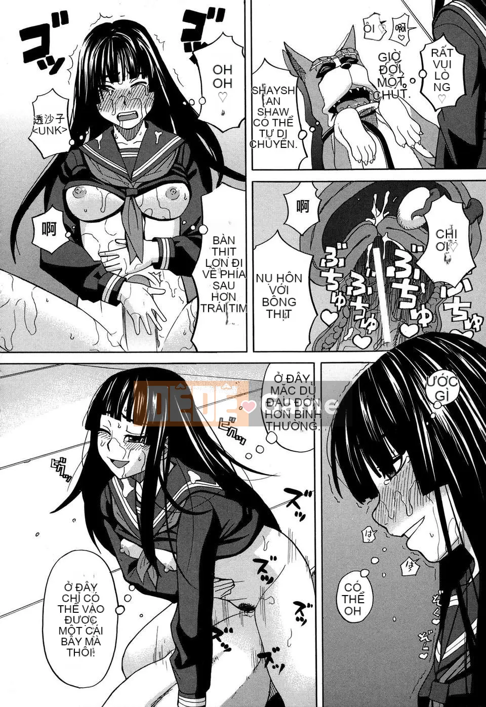 [Zuki Itsuki] Lối sống phổ biến cho chó