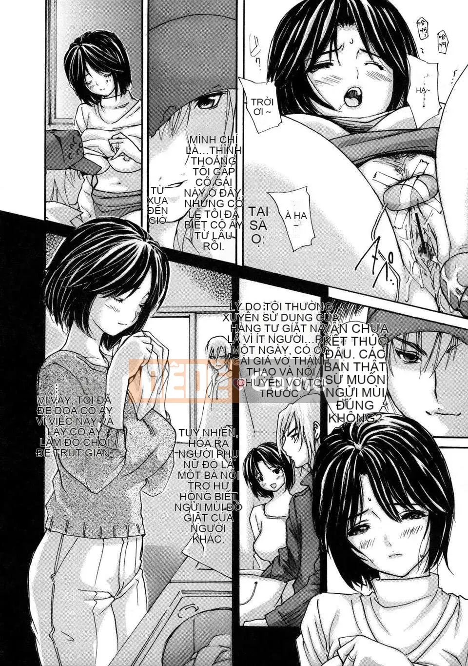 [MG Joe] Vú Sữa (Hachichi)