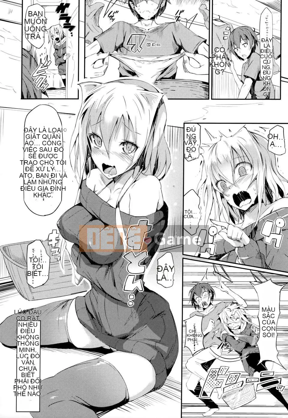 [momi] Koinyu Teruzu + tập giới hạn Toranoana + thẻ minh họa [Hán hóa cá nhân cuối cùng]