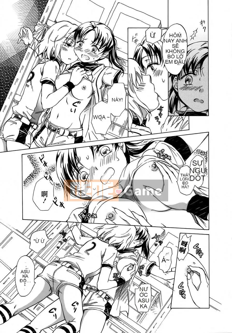 [Nhóm Hán hóa không độc hại] Hoa huệ xanh