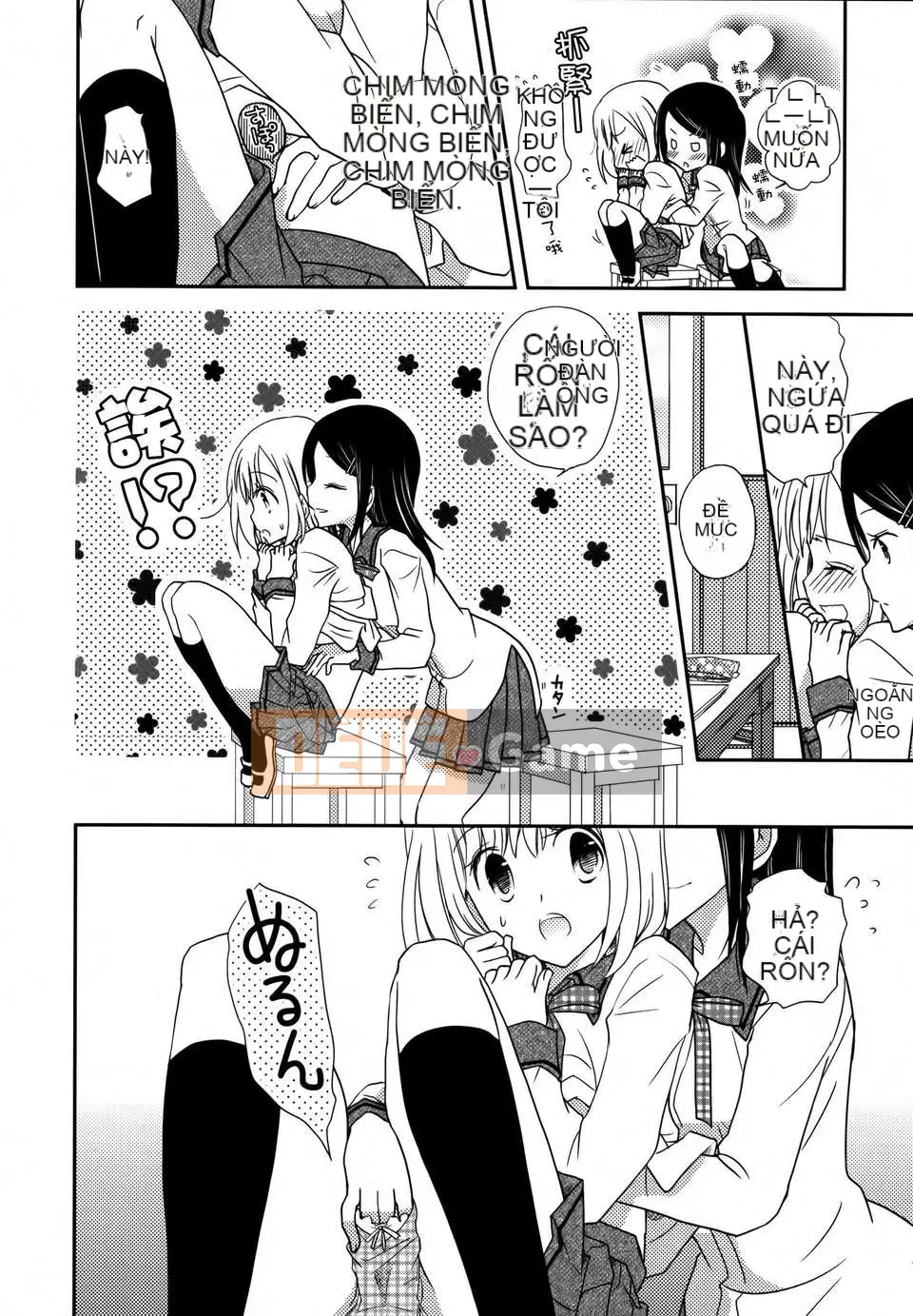 [Nhóm Hán hóa không độc hại] Hoa huệ xanh