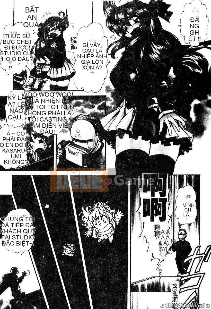 [Thỏ Mertz] Chủ nghĩa thần tượng