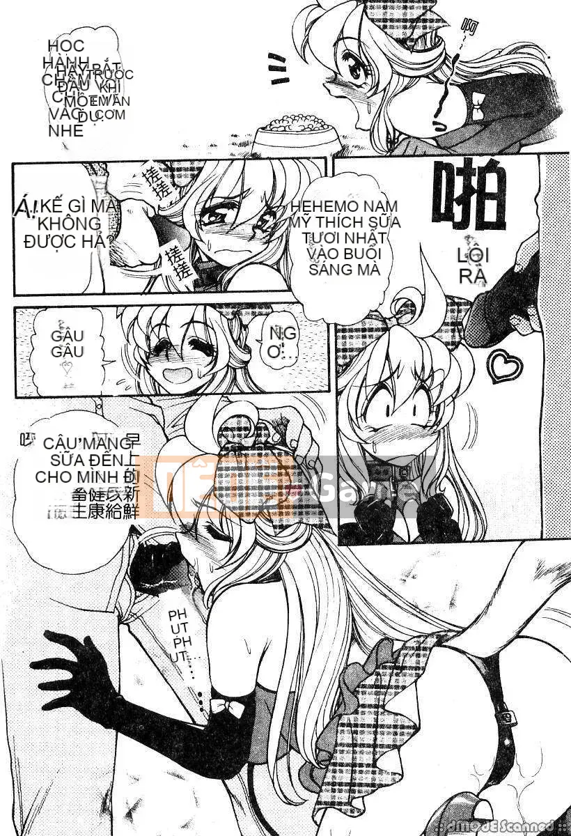 [Thỏ Mertz] Chủ nghĩa thần tượng