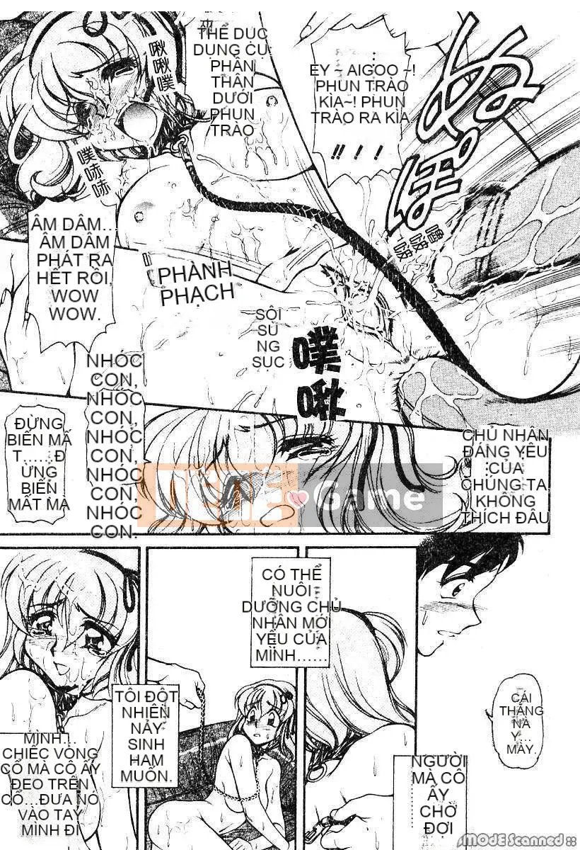 [Thỏ Mertz] Chủ nghĩa thần tượng