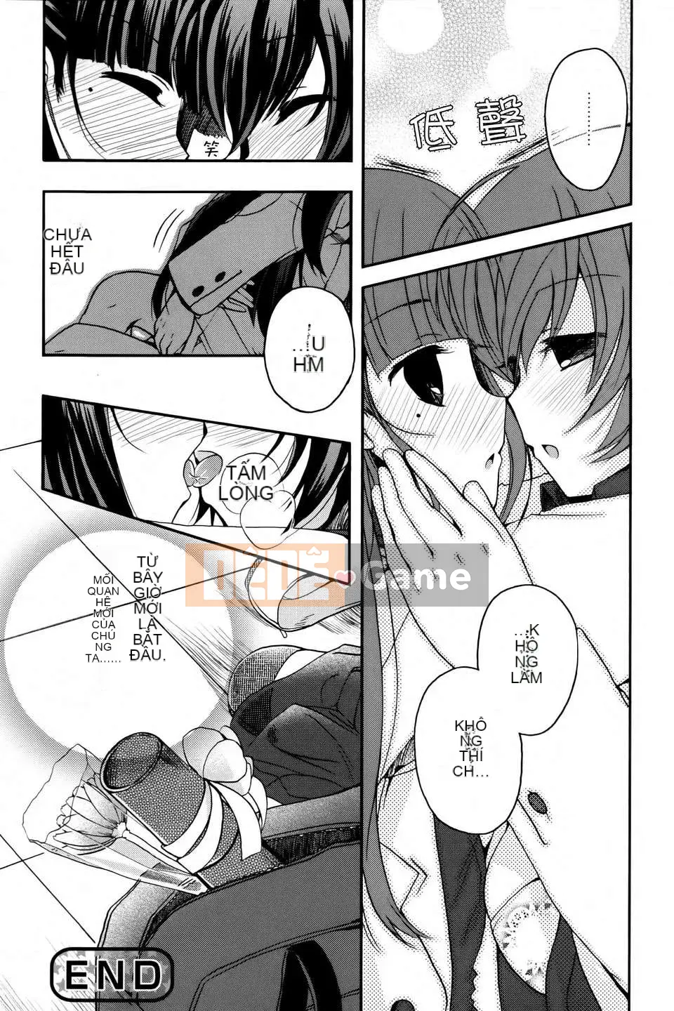 [Cá nhân hóa gà nướng Dora] Hoa loa kèn vàng