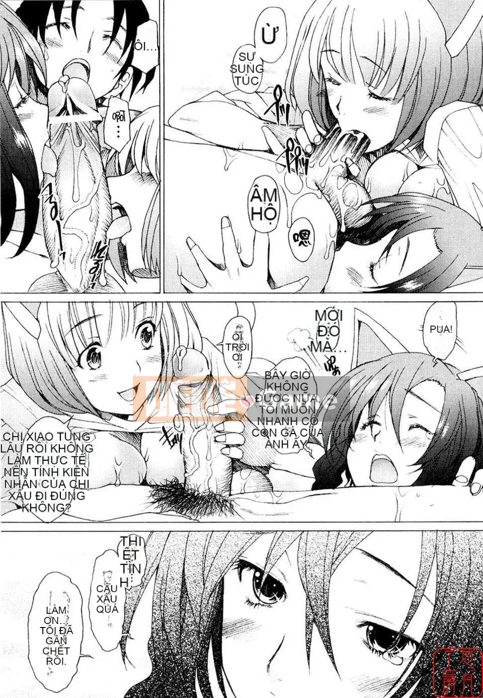 [Sakai Hamachi] - A Live