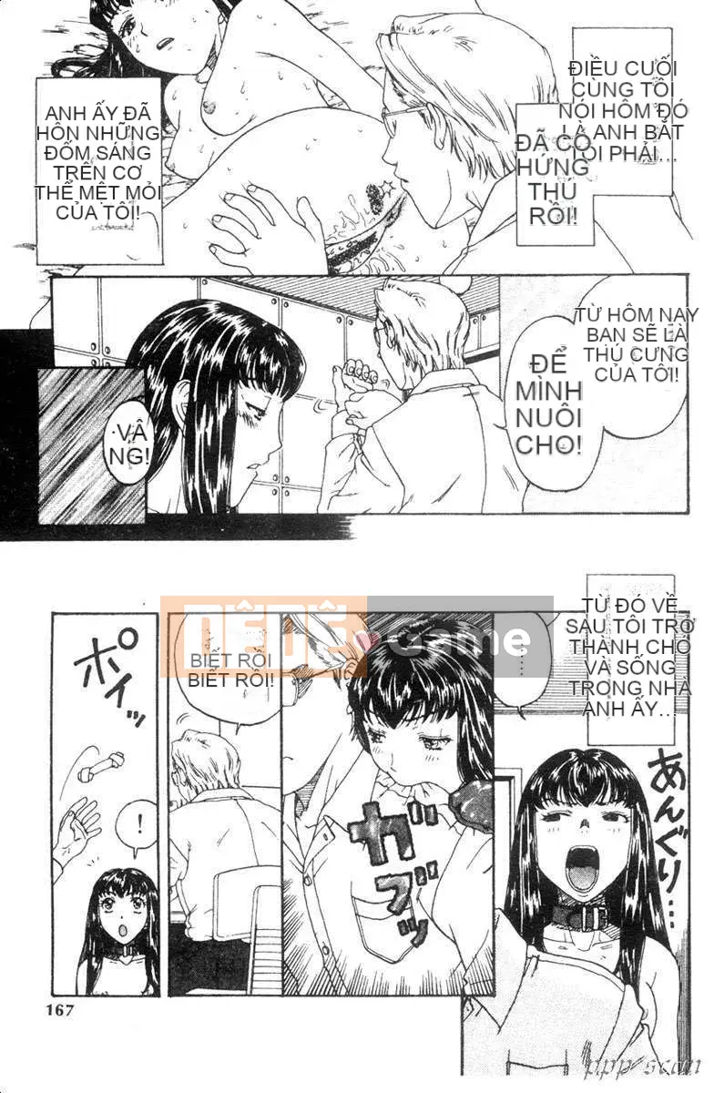 [Kobayashi Junior] Danh mục nô lệ tình dục