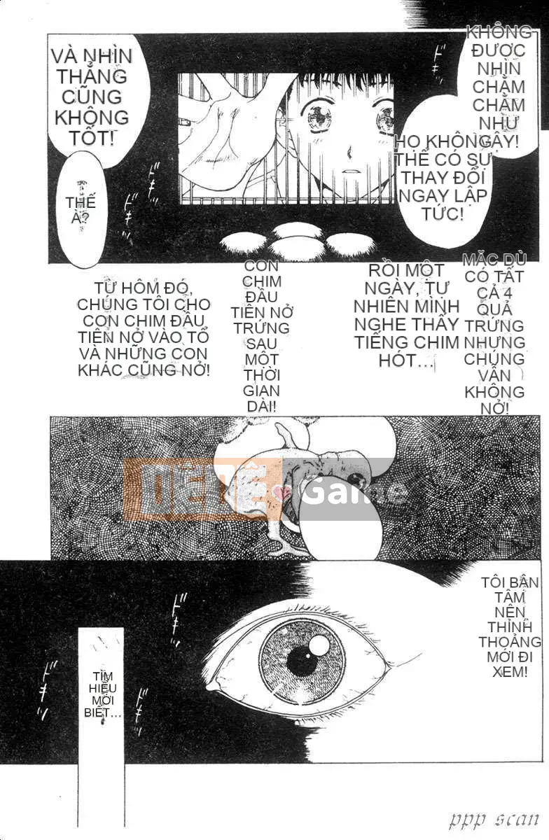 [Kobayashi Junior] Danh mục nô lệ tình dục