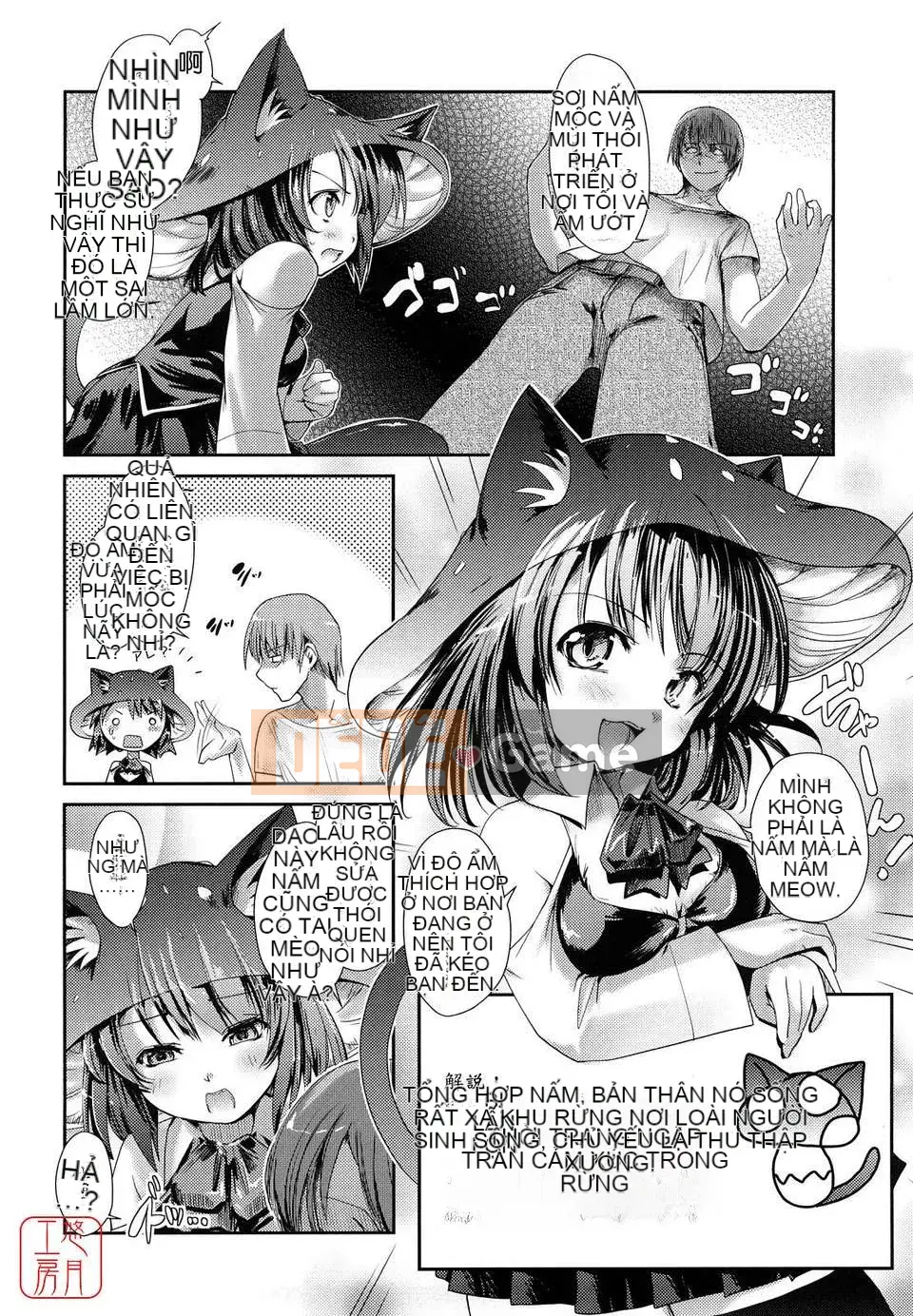 [Nibinamo Lồi] Nekokino và thị trấn mưa