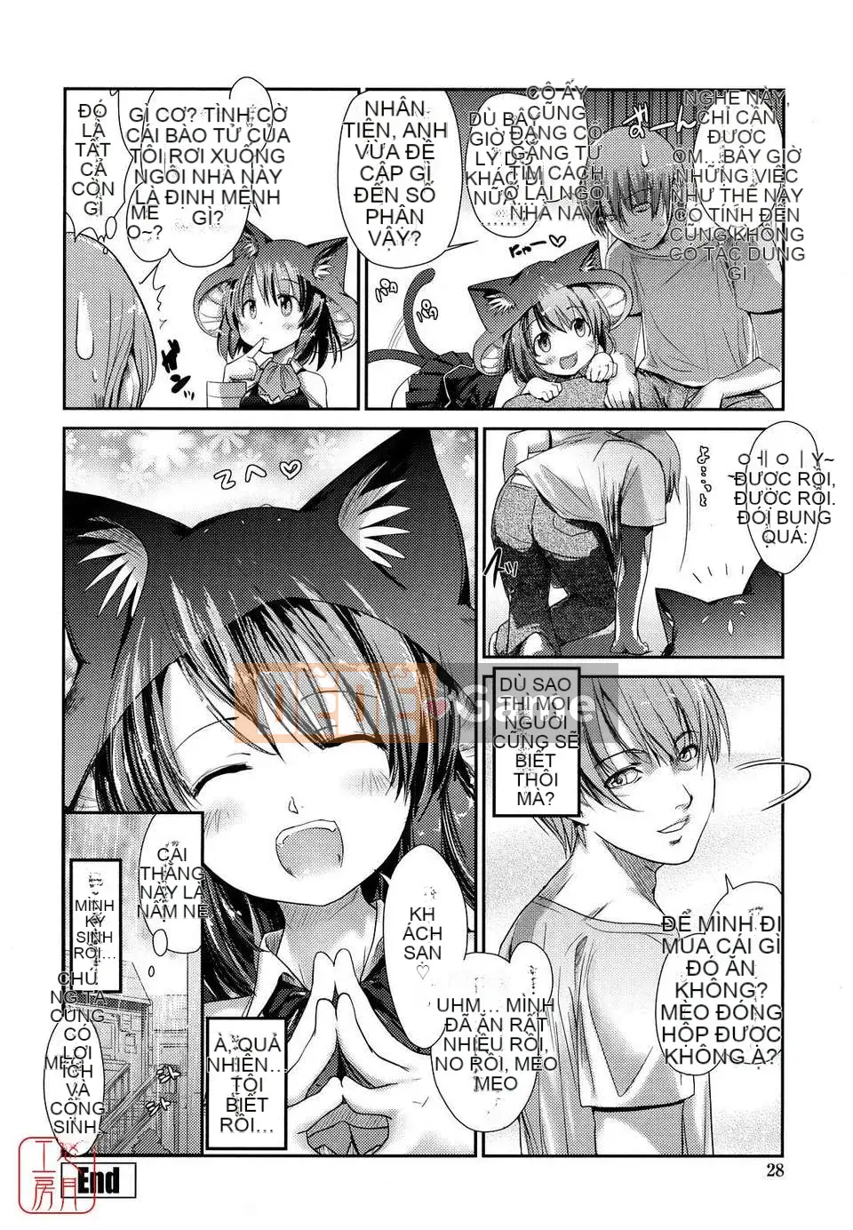 [Nibinamo Lồi] Nekokino và thị trấn mưa