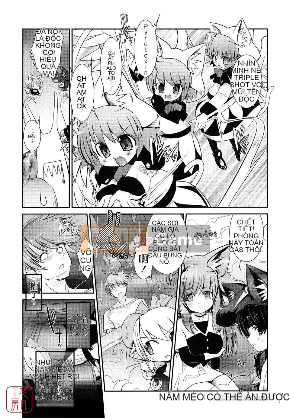 [Nibinamo Lồi] Nekokino và thị trấn mưa