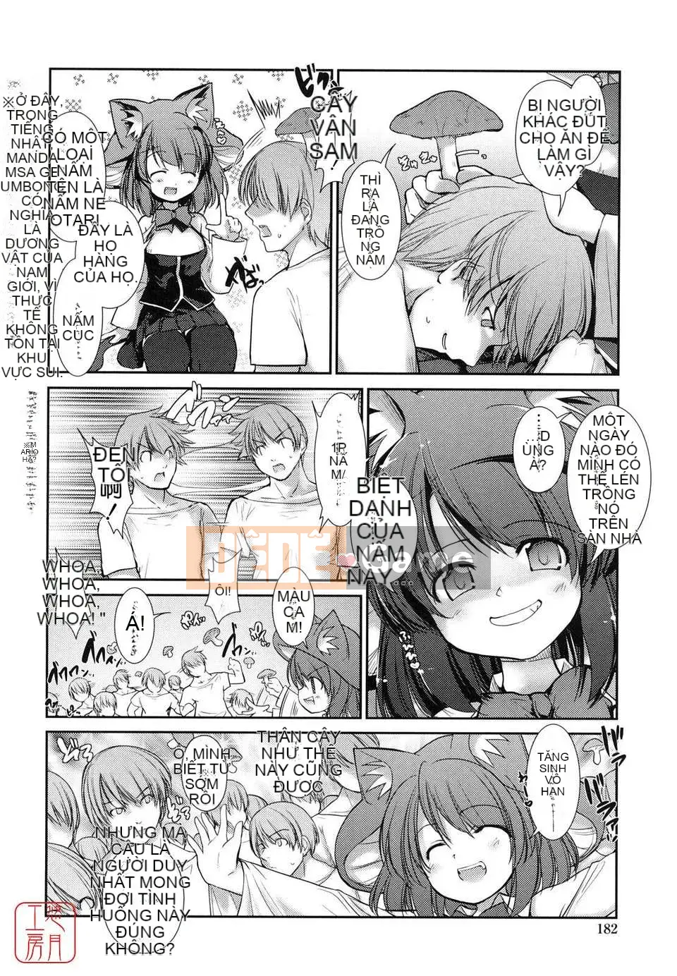 [Nibinamo Lồi] Nekokino và thị trấn mưa