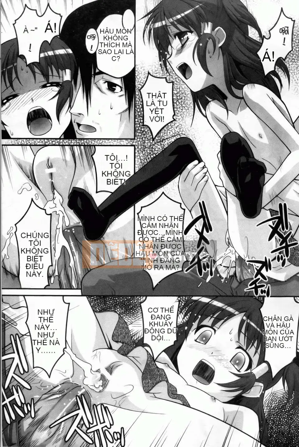 [Himehachi][Ba chị em Youran][Bản đồ quét BOJJ][Chuman]