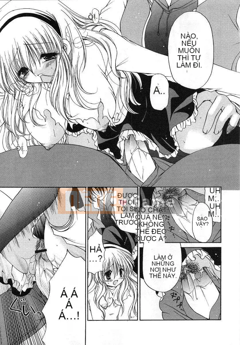 [Ryuuki Yuumi] Roi bông