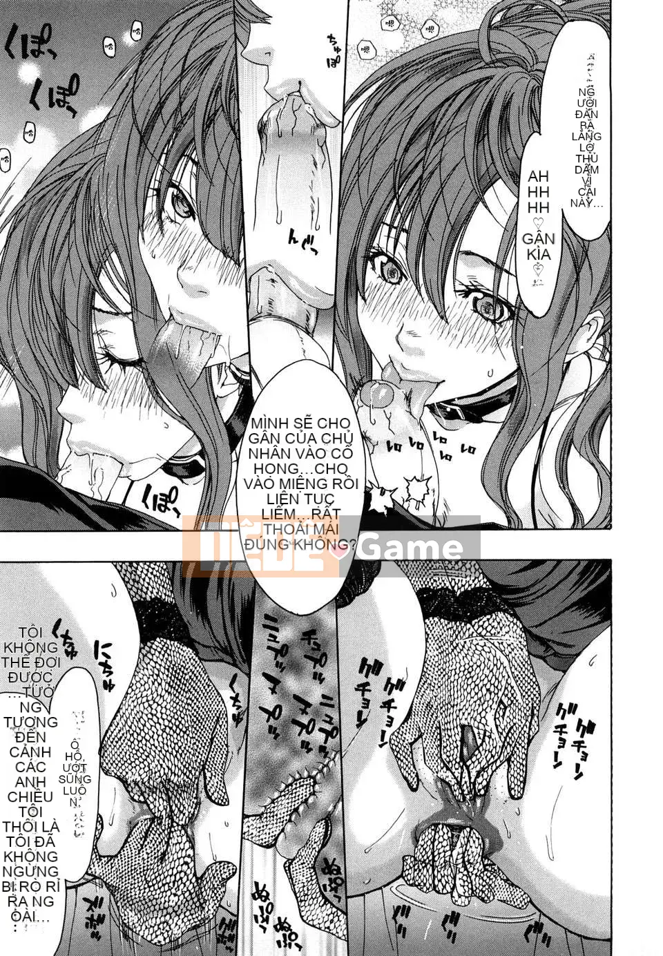 [胡博昭] Đèn dụ bướm