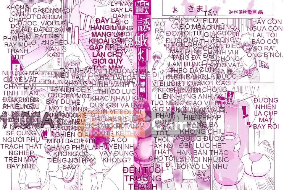 [胡博昭] Đèn dụ bướm