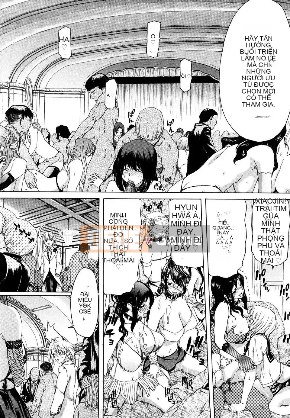 [胡博昭] Đèn dụ bướm