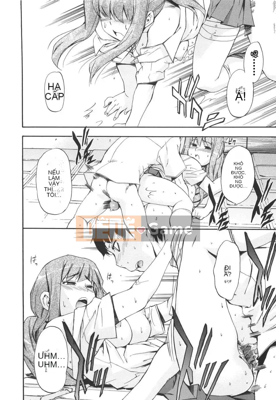 [Chó] Ngày may mắn