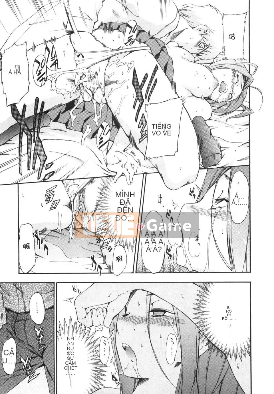 [Chó] Ngày may mắn