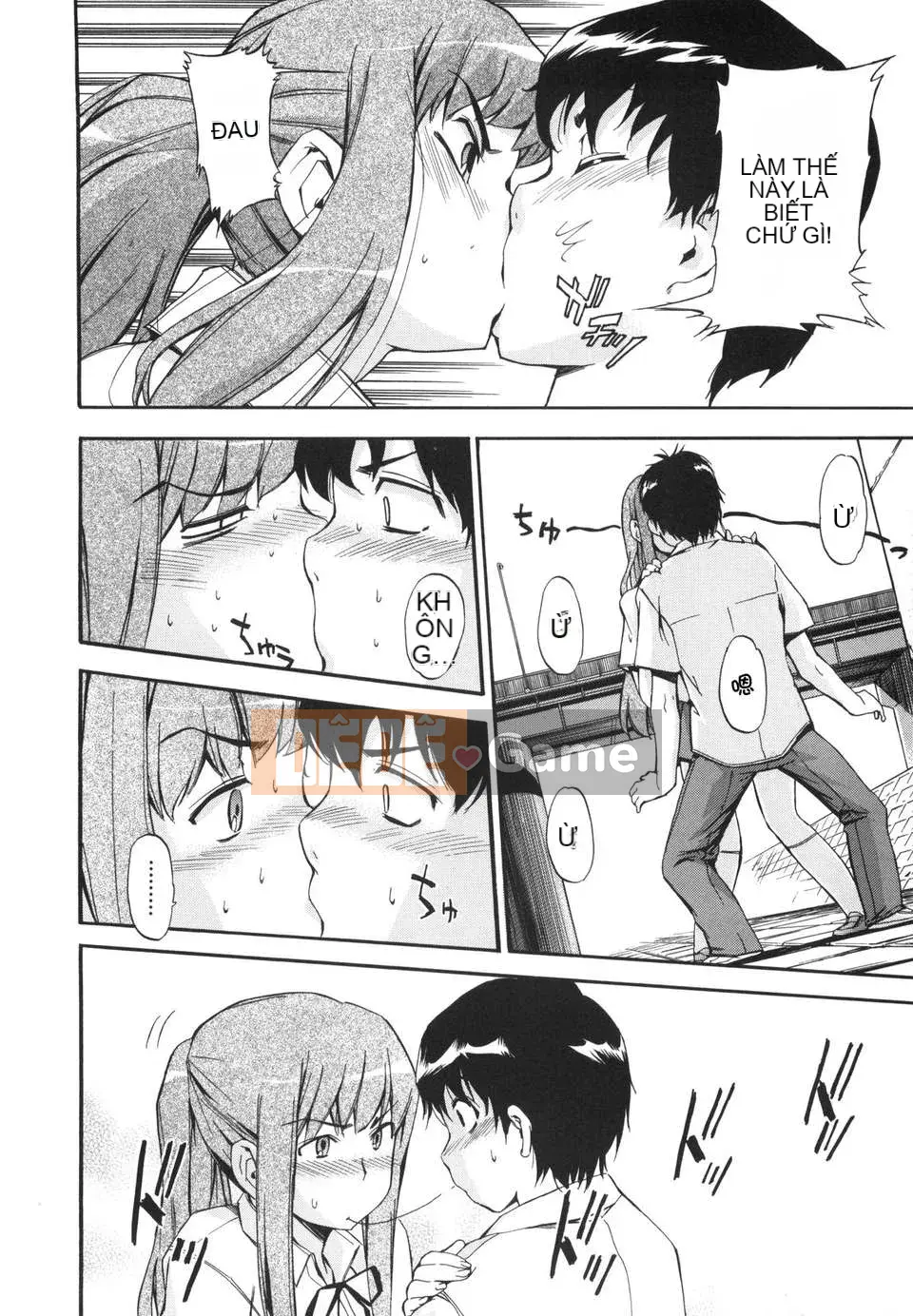 [Chó] Ngày may mắn