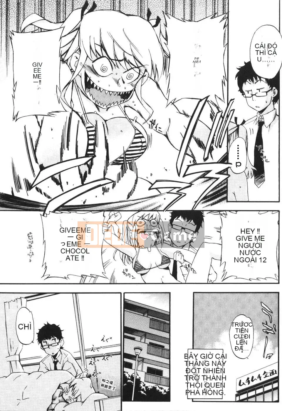 [Chó] Ngày may mắn