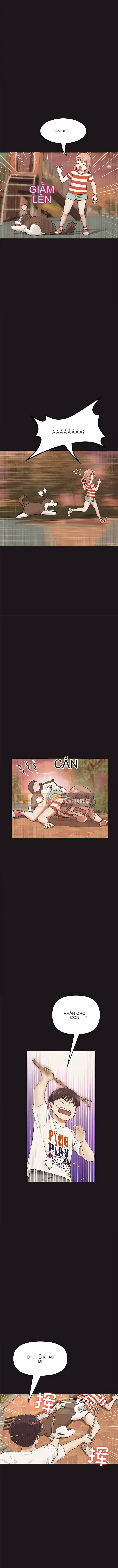 Tình yêu đầu tiên chúng tôi đoàn tụ là mẹ kế của tôi Chương 21-22