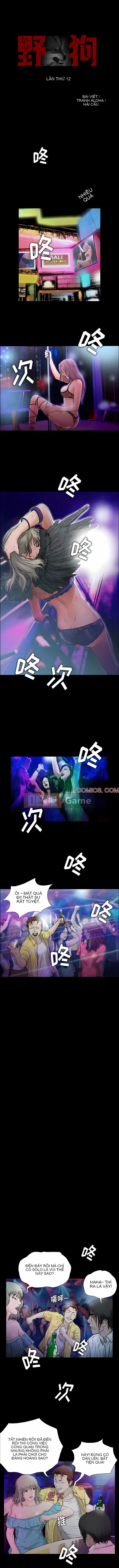 Chó hoang Chương 11-12