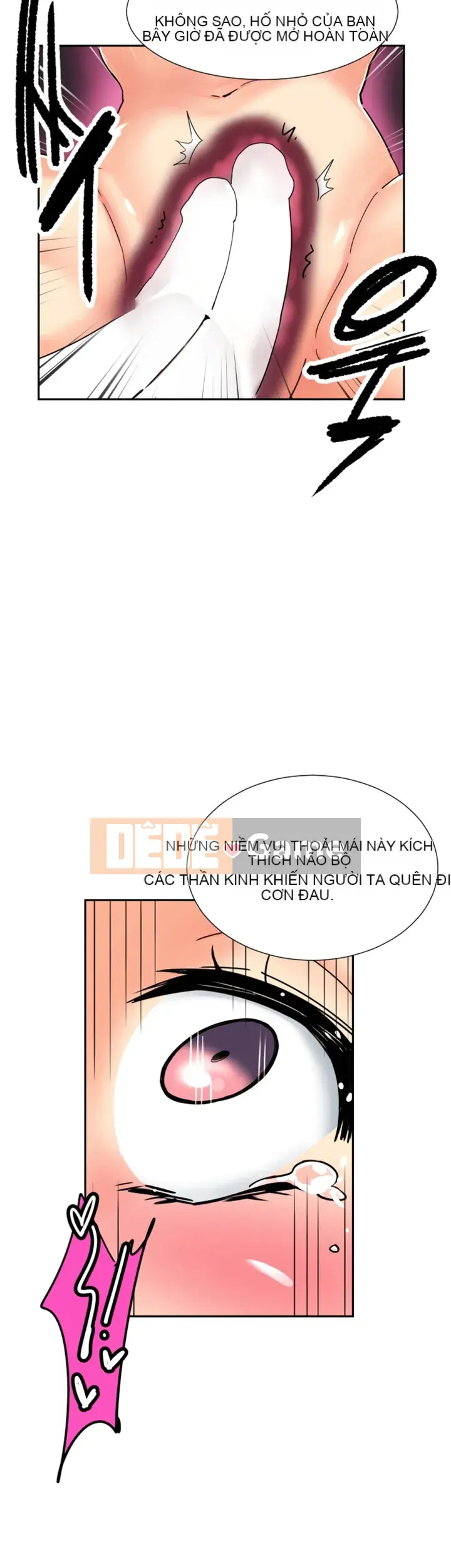 Huấn Luyện Vợ Của Bạn Chương 1-52