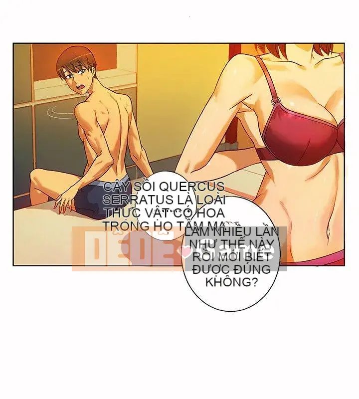 30 cm Giao Ước Mùa 1 Tập 1-24