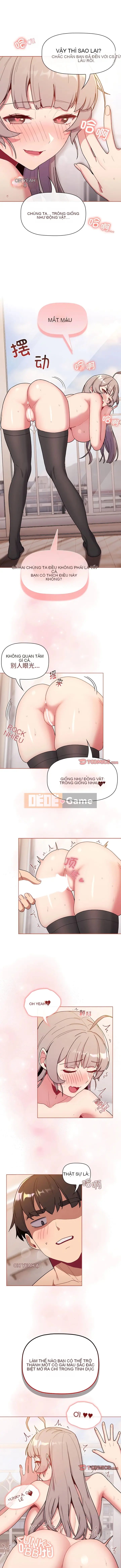 Nhóm hoán đổi tình yêu Chương 75-76