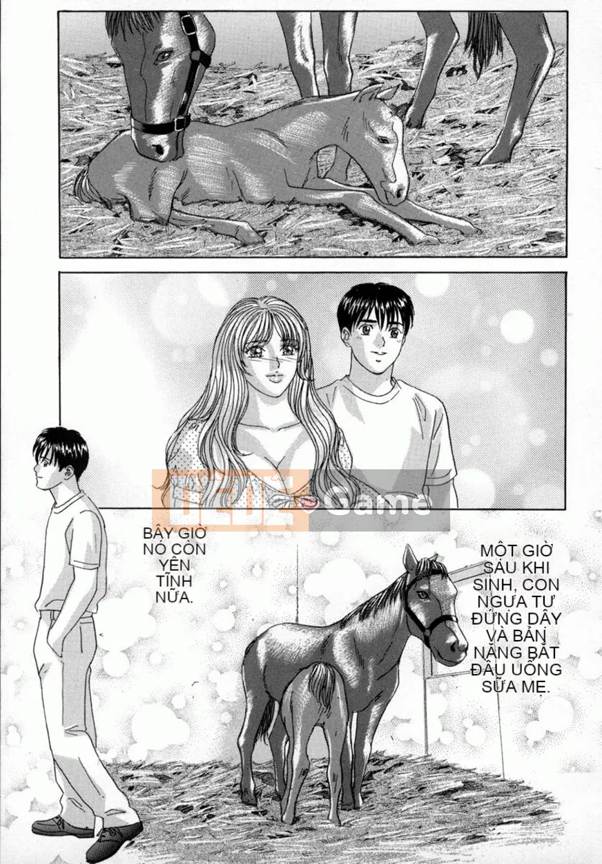 Toru Nishimaki Chương 4