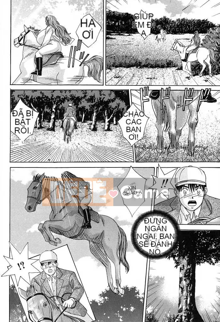 Toru Nishimaki Chương 3