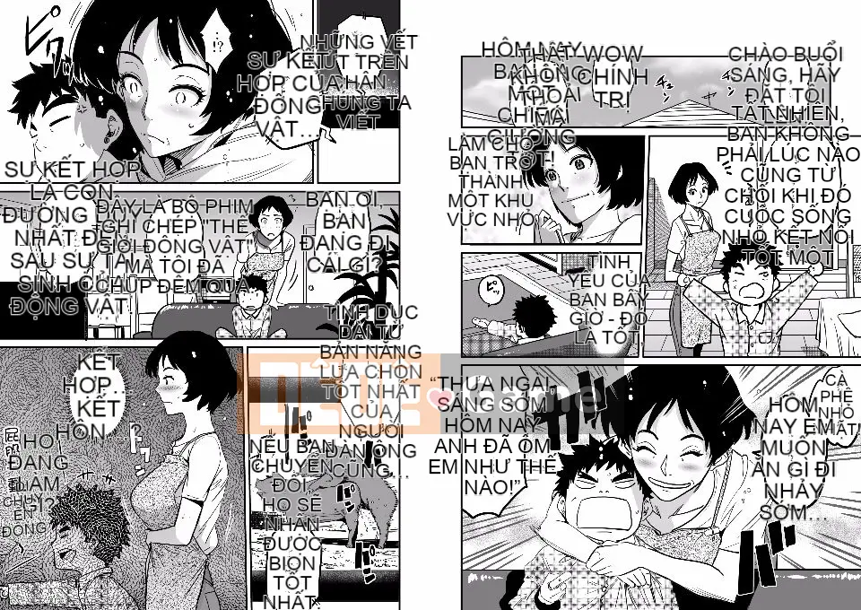 NTR Loạt phim loại bỏ mẹ kiệt tác