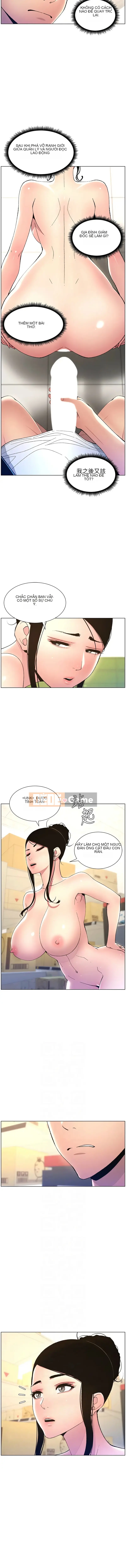 Bài học bí mật của anh chị em Chương 10-11