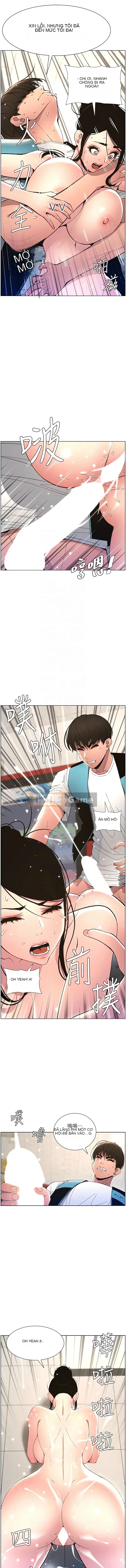 Bài học bí mật của anh chị em Chương 12-13