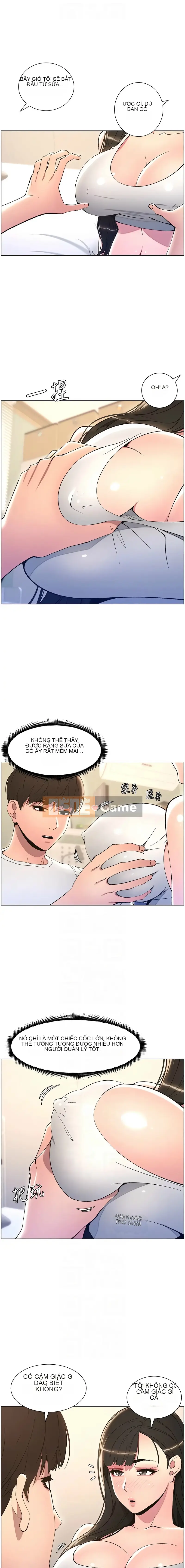 Bài học bí mật của anh chị em Chương 12-13