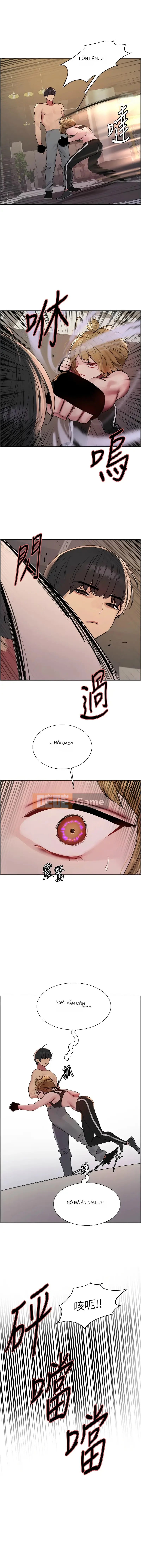 Mắt Bánh Xe Màu Phần 2 Chương 31-32
