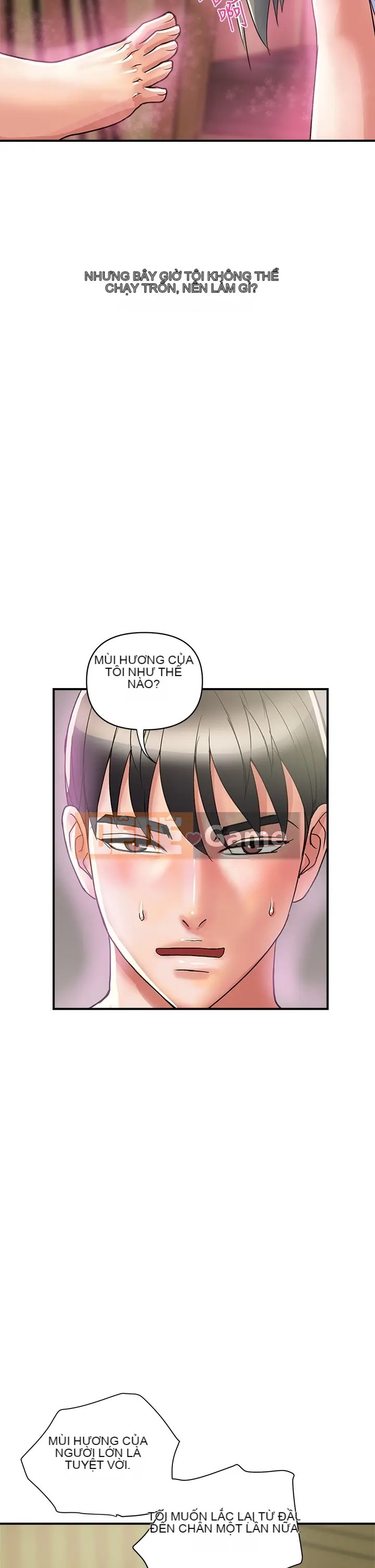 Pheromone đi bộ Chương 1-55