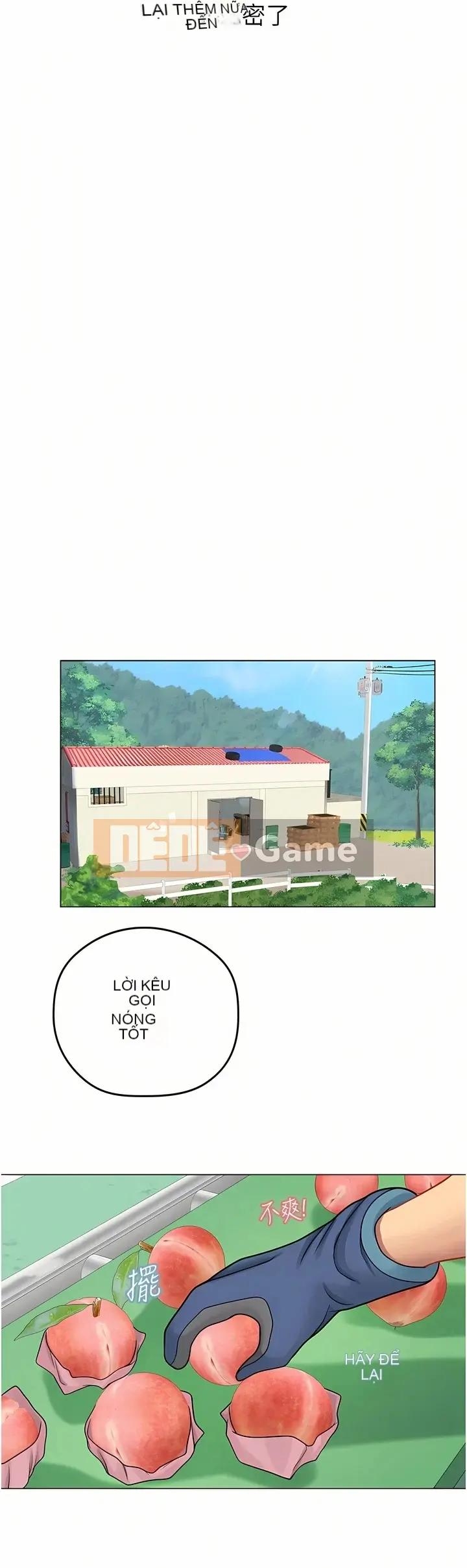 Thực tập sinh ama Chương 1-102