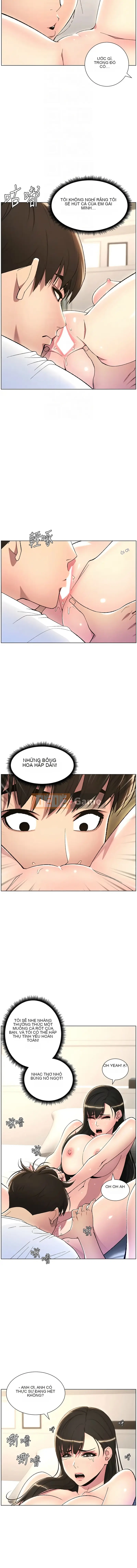 Bài học bí mật của anh chị em Chương 18-19