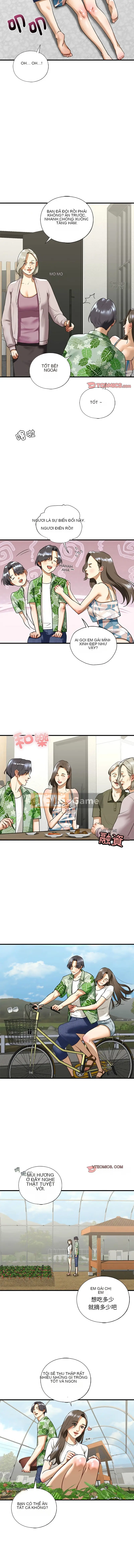 Đừng bắt nạt em gái tôi Chương 26-27