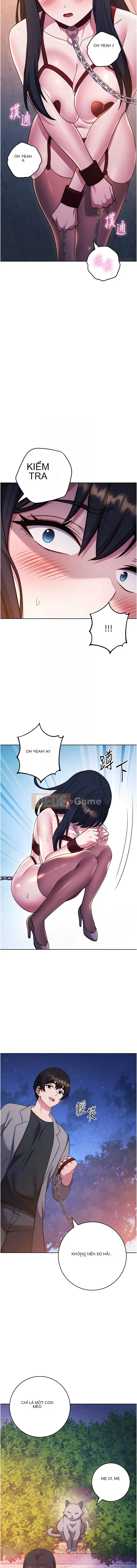 Luyện tập câu hỏi trắc nghiệm tình yêu Chương 40-42