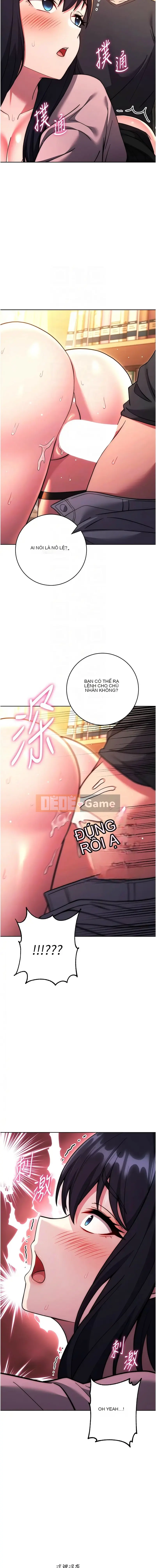 Luyện tập câu hỏi trắc nghiệm tình yêu Chương 1-42