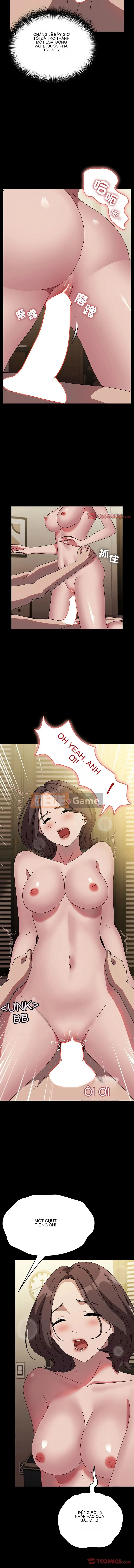 Con rể của tôi Chương 64-65