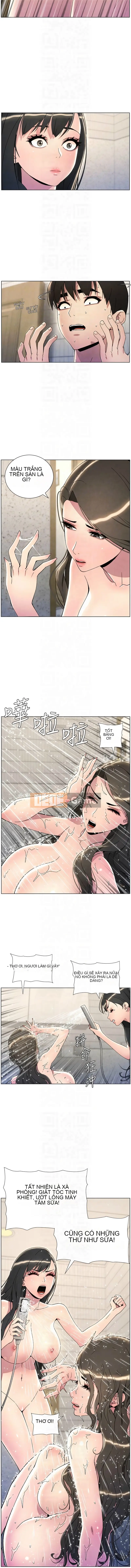 Bài học bí mật của anh chị em Chương 31-32