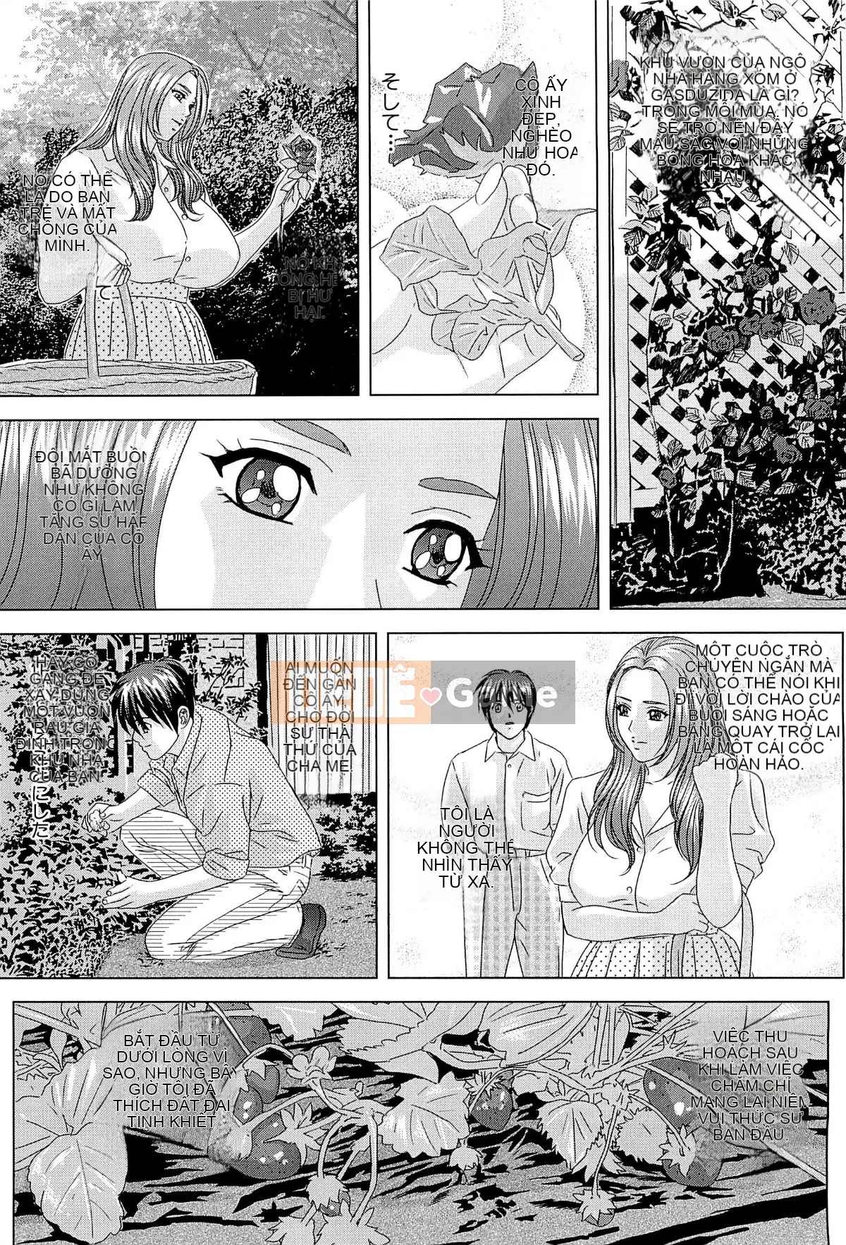 Tình dục -- Lái xe