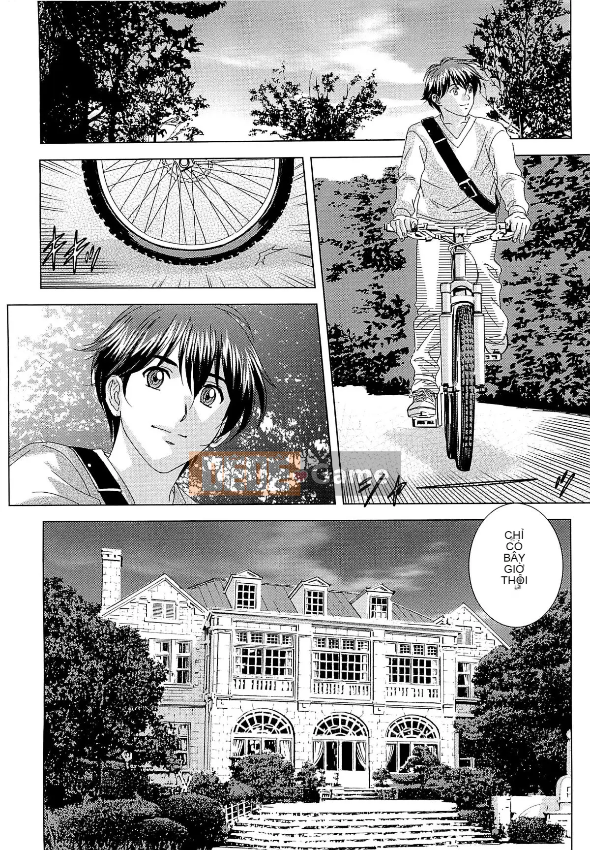 Tình dục -- Lái xe